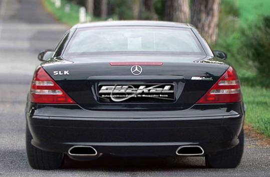 mercedes_benz_slk_r170_roadster_duplex_dynamik_2x70x157_1.jpg