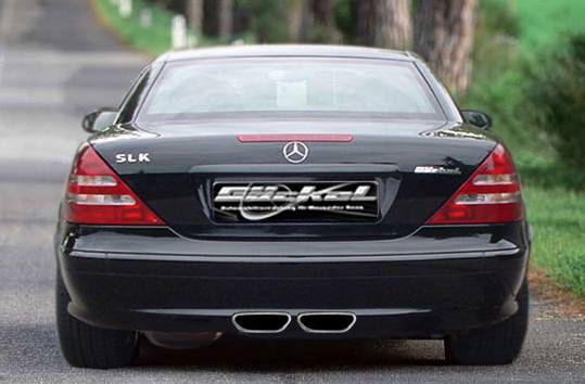 mercedes_benz_slk_r170_roadster_duplex_sport_2x70x157_1.jpg