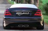 mercedes_benz_cl_w215_sportauspuff_sport_75x135_mitte_4parts.jpg