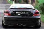 mercedes_benz_slk_r170_roadster_sportauspuff_dynamik-look_2x70x157_3.jpg