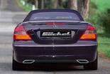 05-mercedes_clk_w209_sportauspuff_goeckel_performance_2x50x190_2.jpg