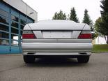 mercedes_benz_goeckel_sportauspuff_e-klasse-w124_duplex_alu-endrohre_50x190262007.jpg