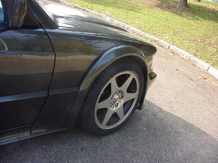 c-klasse_w201_tuning_styling_goeckeldsc07354.jpg