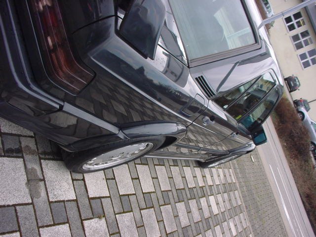 dsc05454.jpg