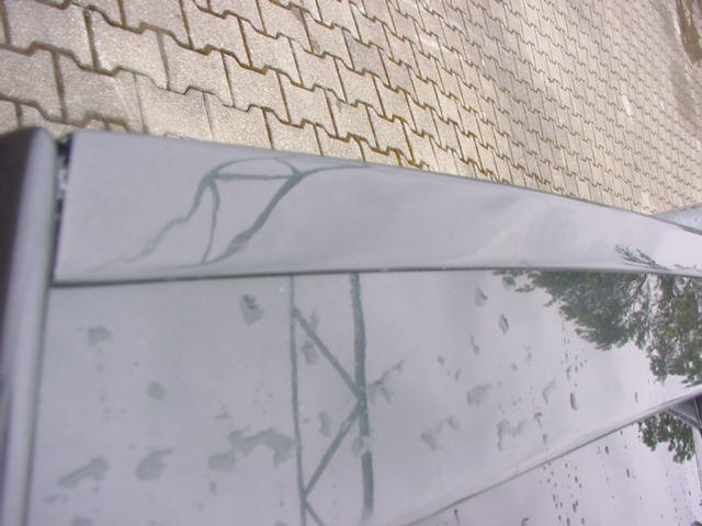 dsc05456.jpg