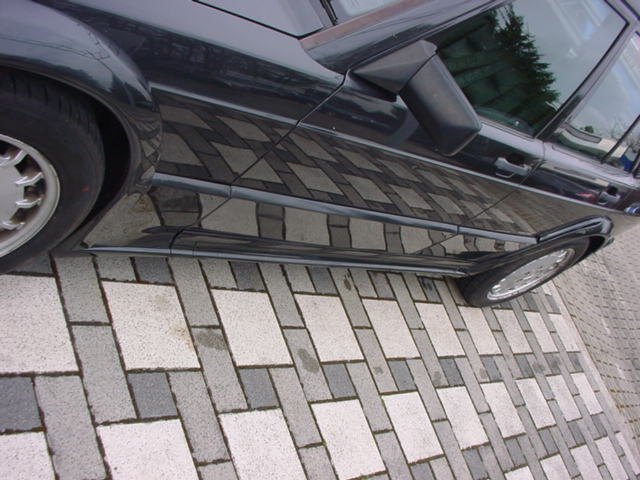 dsc05461.jpg