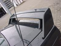 dsc05465.jpg