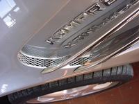 dsc04105.jpg