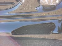 dsc08512.jpg