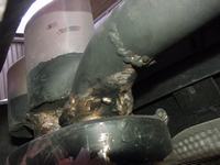 dsc00287.jpg