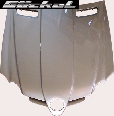 sl_r230_slr-look_stahl_motorhaube_lack.jpg