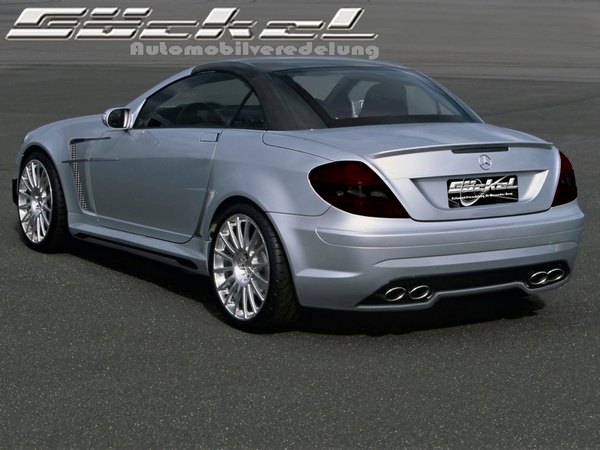 dynamik_hinten_slk_r171_2.jpg