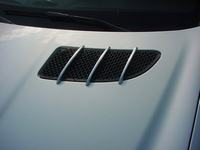 dsc00450.jpg