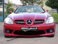 slk_r171_mercedes_frontspoiler_goeckel_amg-look_1.jpg