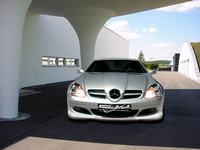 slk_r171_mercedes_frontspoiler_goeckel_amg-look_lippe_1.jpg