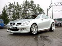slk_r171_mercedes_schweller_goeckel_performance_1.jpg