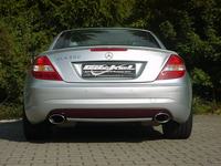 dsc00486-1.jpg