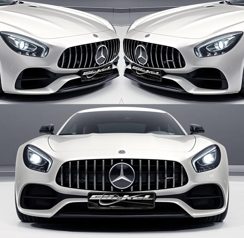 AMG GT C190  Panamericana Kühler Grill 