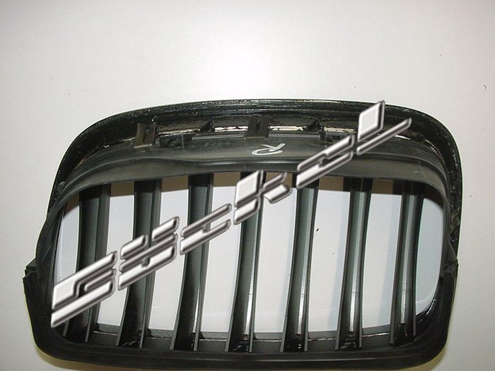 bmw_grill_3.jpg