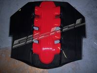 motorabdeckung_carbon_goeckel_1.jpg