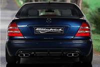 s-klasse_w220_mercedes_sportauspuff_goeckel_amg-look_duplex_2x70x120_1.1.jpg