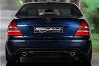 s-klasse_w220_mercedes_sportauspuff_goeckel_amg-look_duplex_2x70x120_1.jpg