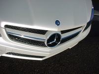 grill_facelift_sl_r230_2008_6.jpg