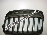 bmw_grill_3.jpg