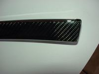 dsc09499.jpg