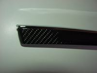 dsc09501.jpg